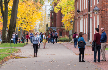 一键下单即得的免费信息轰炸机